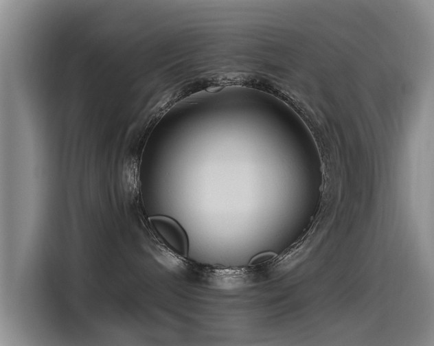 X0000115530240200911061446