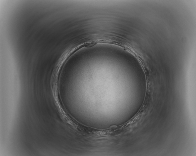 X0000115530241200911061446