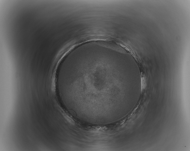 X0000115530243200911061446