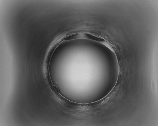 X0000115530245200911061446