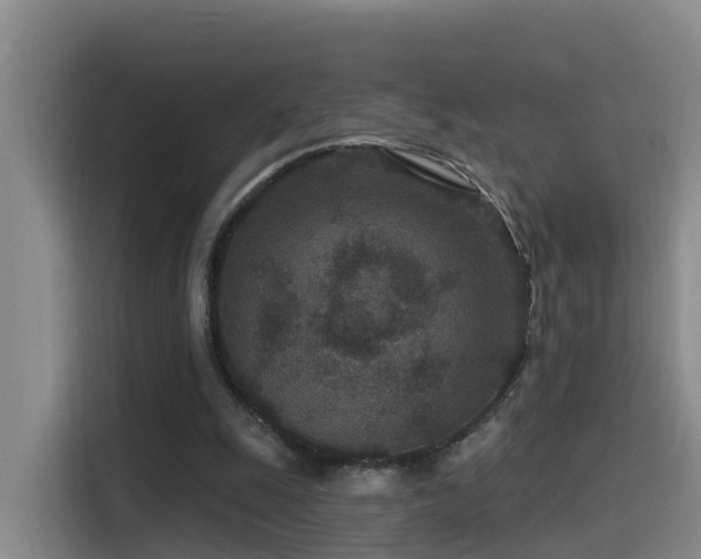 X0000115530247200911061446