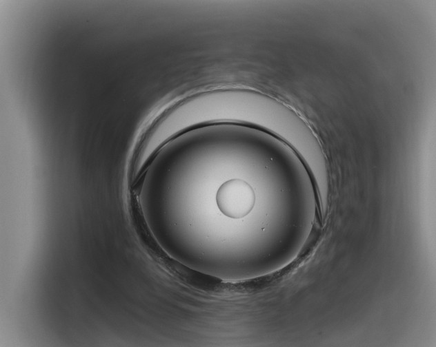 X0000115530248200911061446