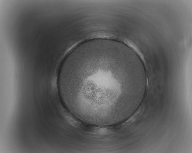 X0000115530249200911061446