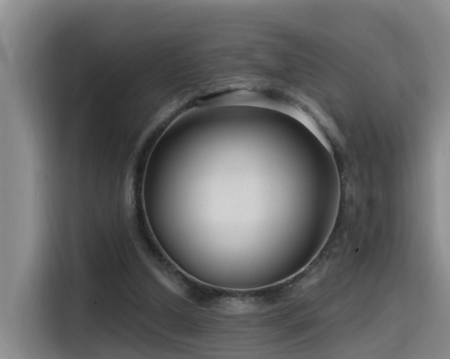 X0000115530250200911061446