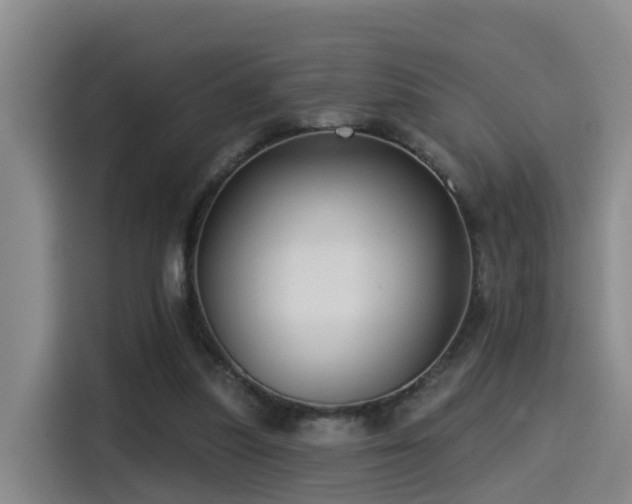 X0000115530251200911061446