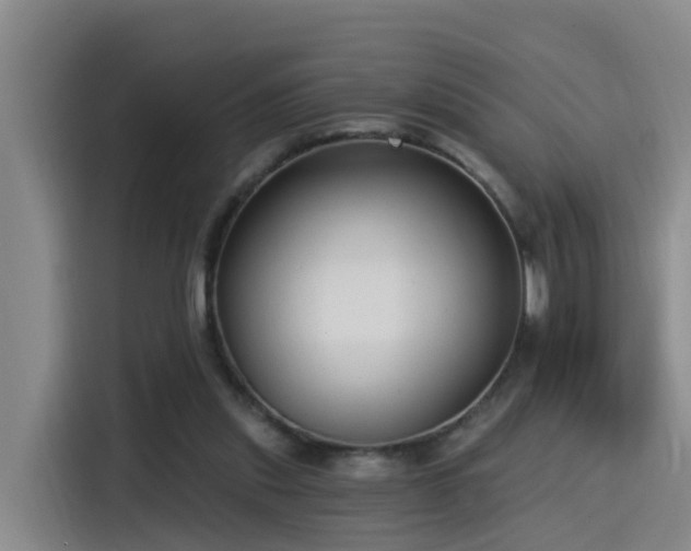 X0000115530253200911061446