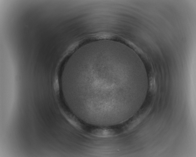 X0000115530254200911061446