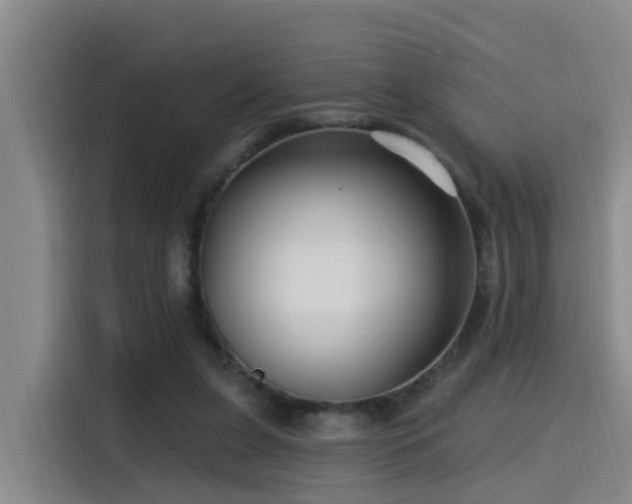 X0000115530255200911061446