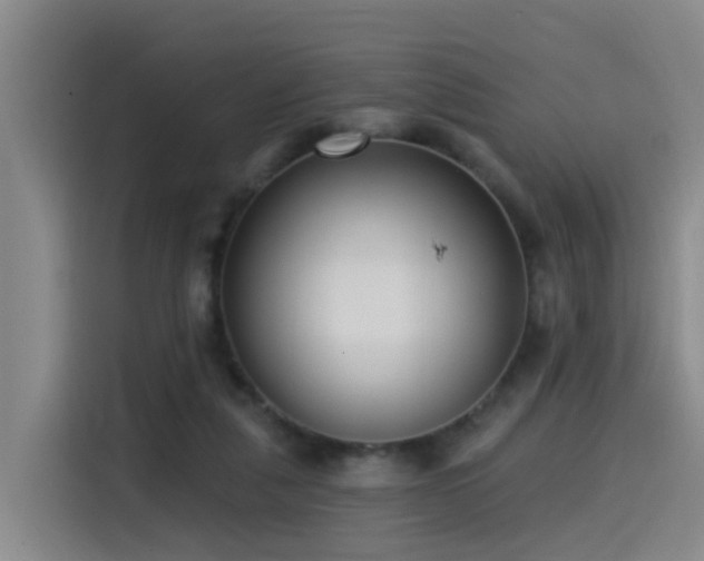 X0000115530259200911061446