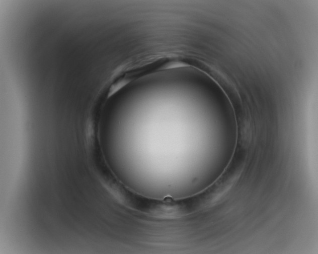 X0000115530260200911061446