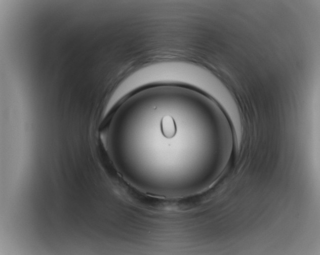 X0000115530264200911061446