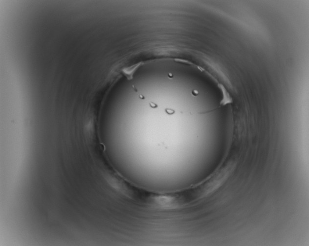 X0000115530265200911061446