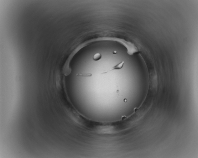 X0000115530266200911061446