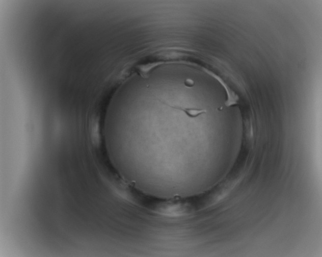 X0000115530267200911061446