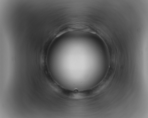 X0000115530268200911061446