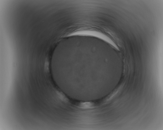 X0000115530269200911061446