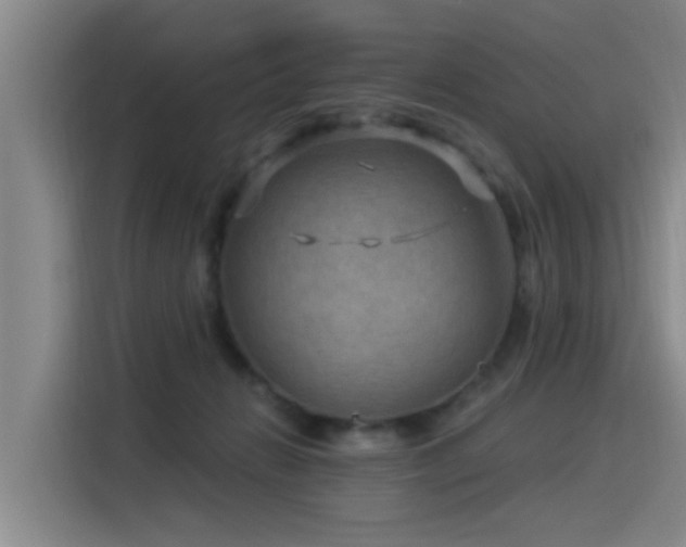 X0000115530270200911061446