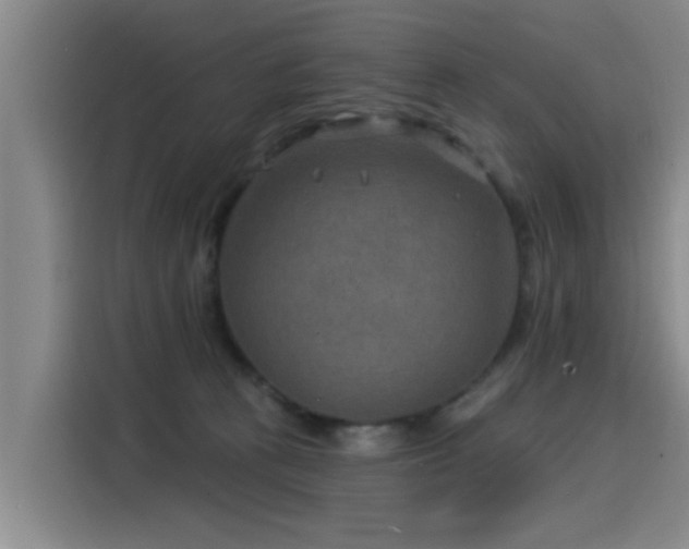 X0000115530273200911061446