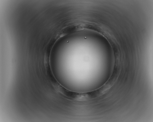 X0000115530274200911061446