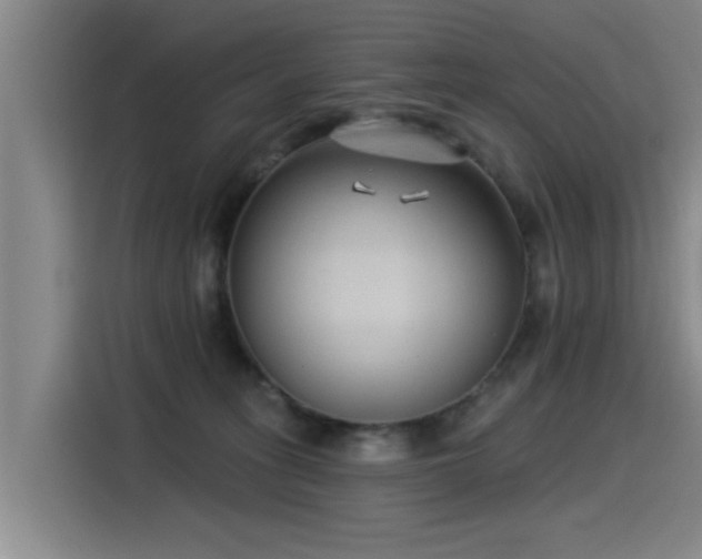 X0000115530275200911061446