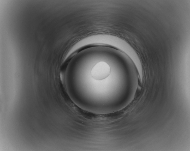 X0000115530276200911061446