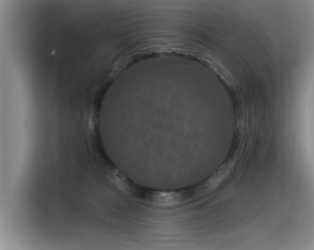 X0000115530277200911061446