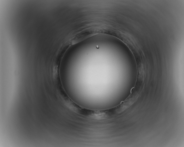 X0000115530278200911061446