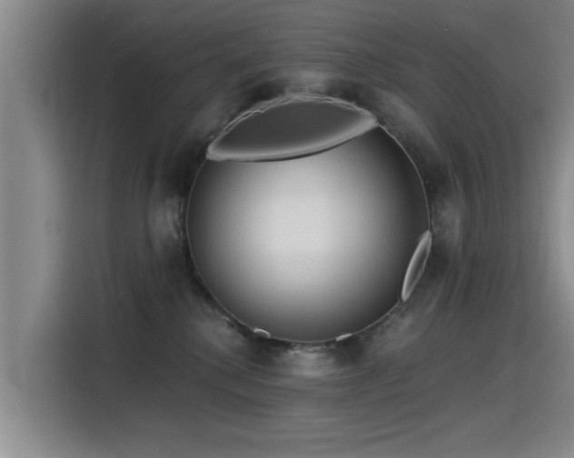 X0000115530280200911061446