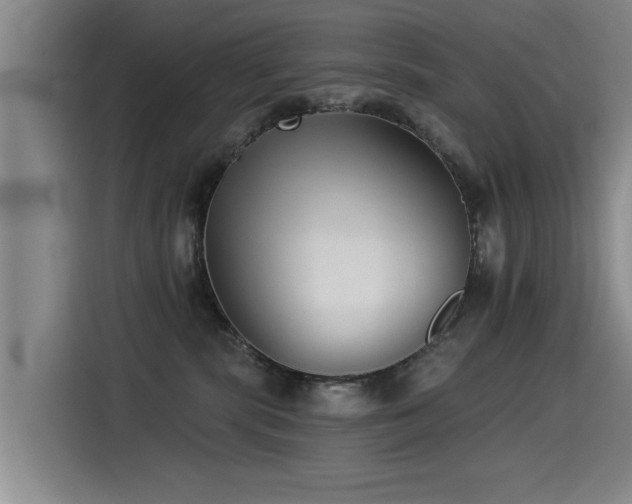 X0000115530283200911061446