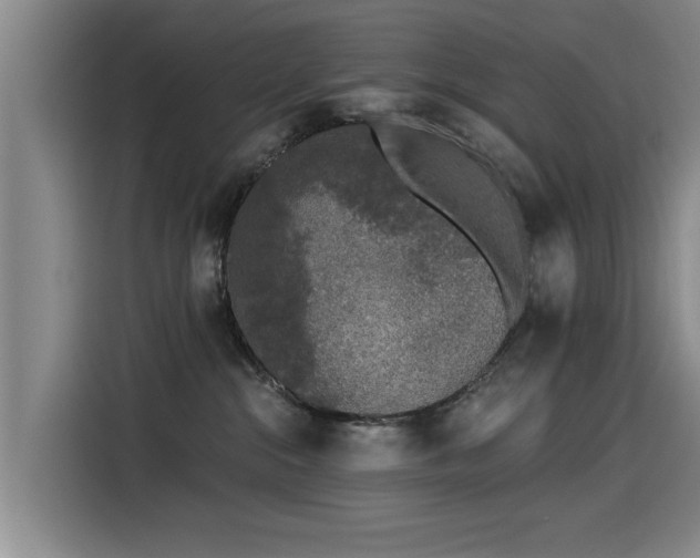 X0000115530284200911061446