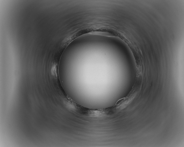 X0000115530286200911061446