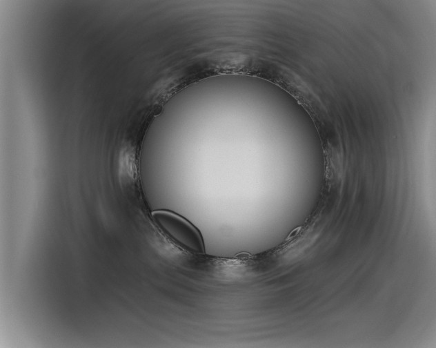 X0000115530287200911061446