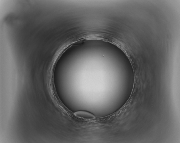 X0000115530289200911061446