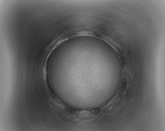 X0000115530290200911061446