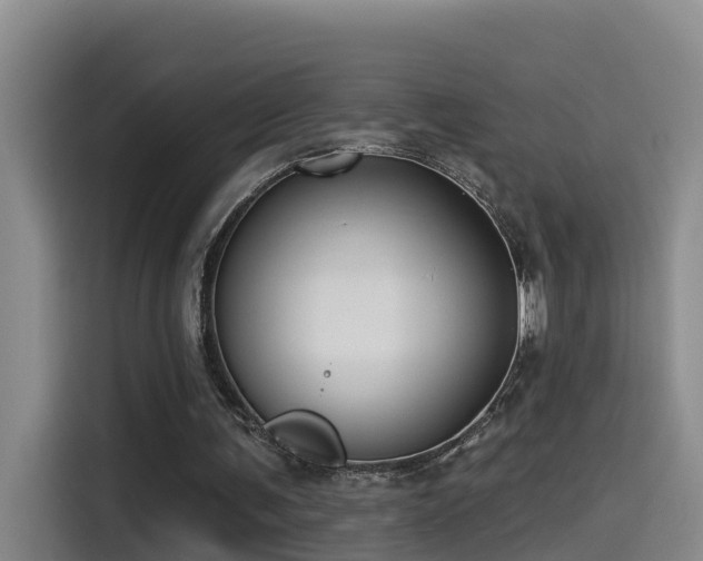 X0000115530291200911061446