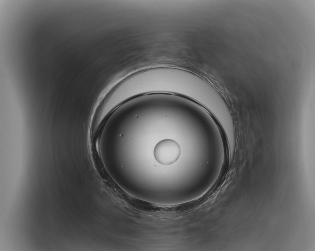 X0000115530292200911061446