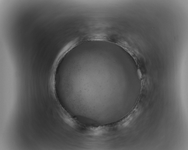 X0000115530293200911061446