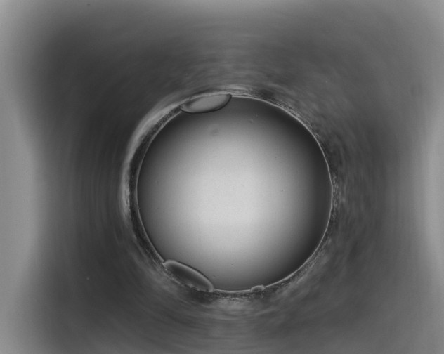 X0000115530294200911061446