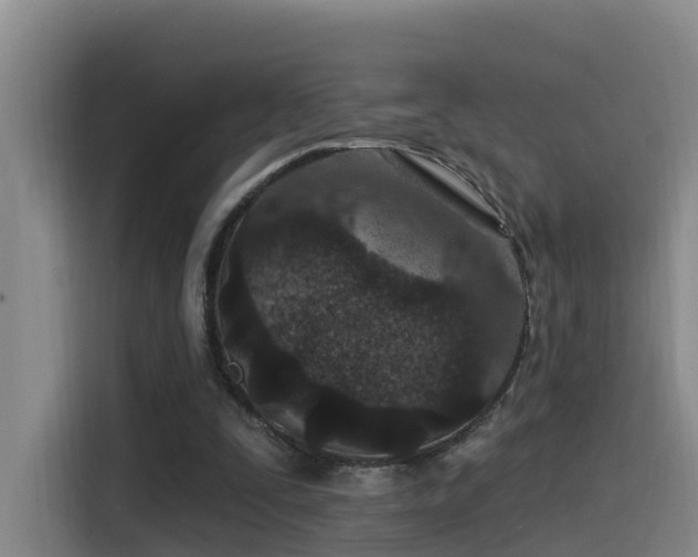 X0000115530295200911061446