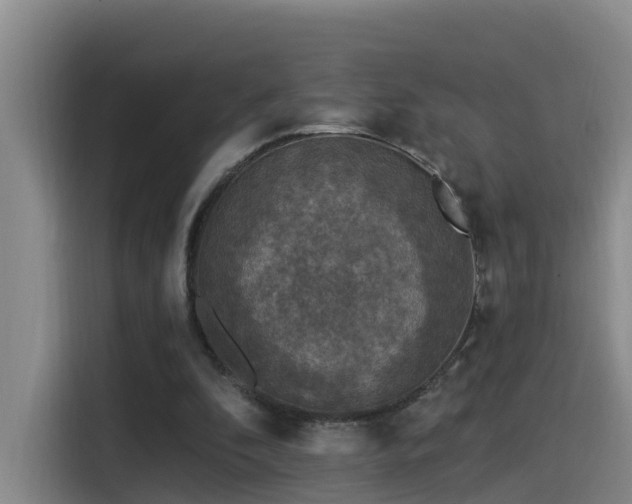 X0000115530296200911061445