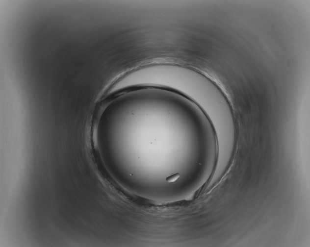 X0000115530297200911061445