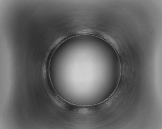 X0000115530298200911061445