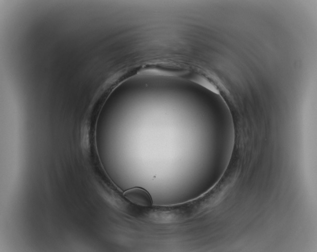 X0000115530299200911061445