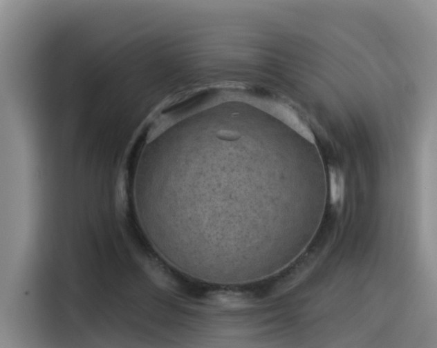 X0000115530300200911061445