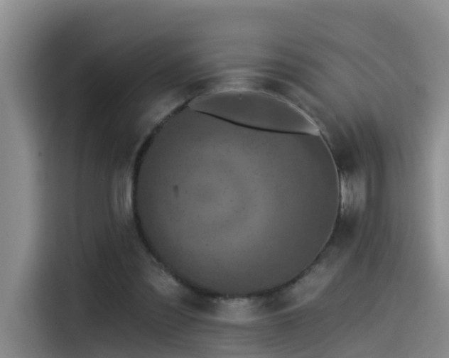 X0000115530301200911061445