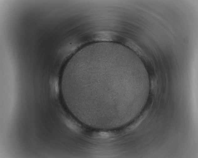 X0000115530302200911061445