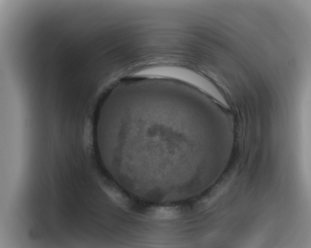 X0000115530303200911061445