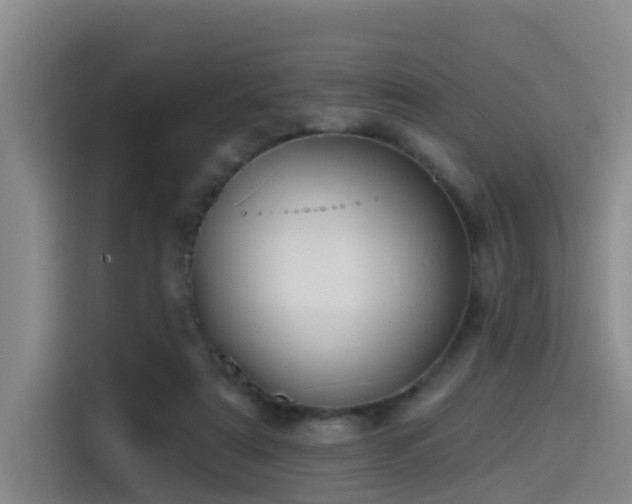 X0000115530307200911061445