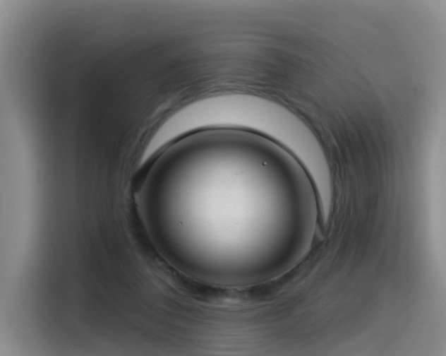 X0000115530308200911061445