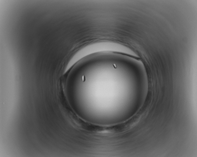 X0000115530312200911061445